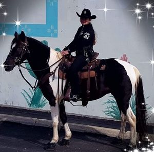 Meet your Posher, Anita